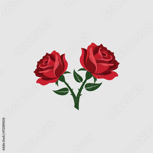 Two Red Roses on Stems isolated on white background
