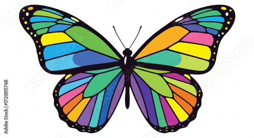 Beautiful colorful butterfly vector illustration design for print and web use stock graphic image 100 char