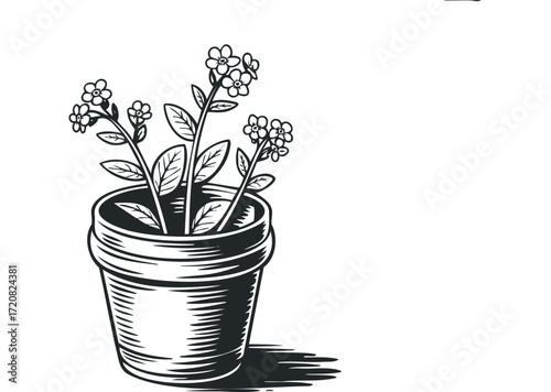 Potted flowering plant with distinct outline. Vector hand drawn illustration