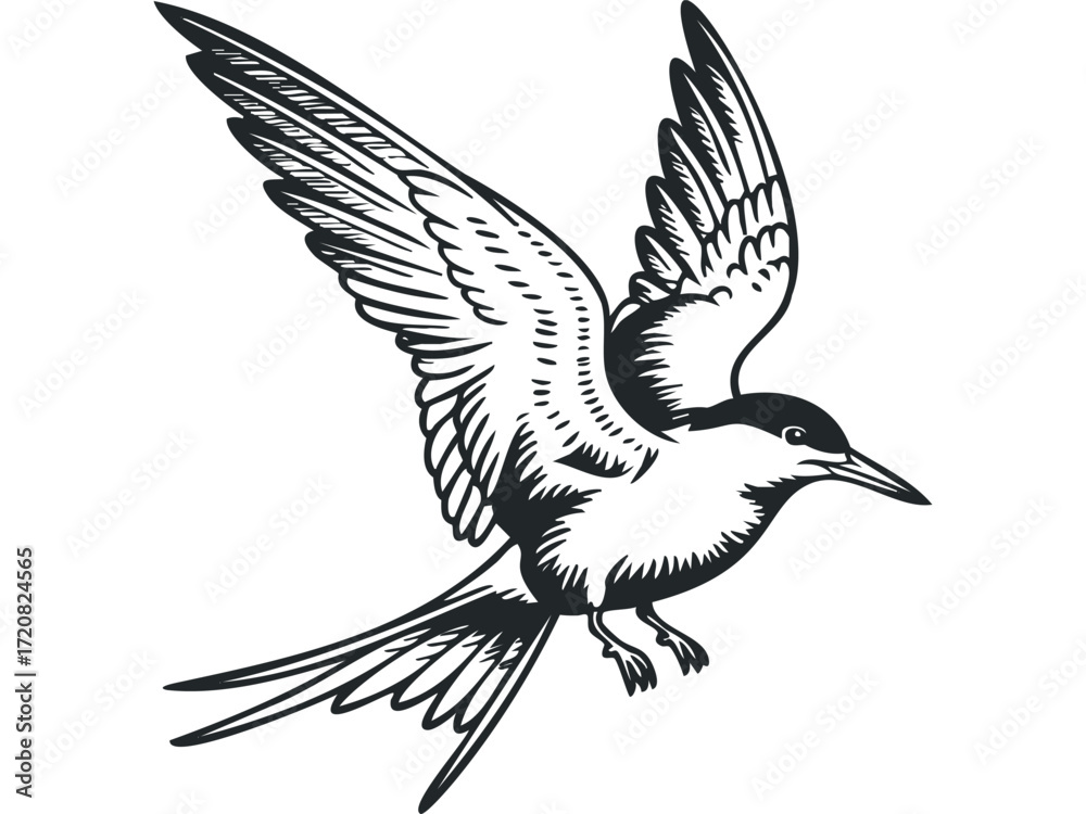 Fototapeta premium Stylized outline of a bird in mid-flight. Vector hand drawn illustration