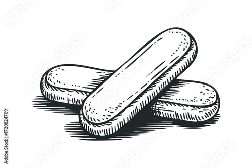 Two Ladyfinger Cookies with Textured Surface. Vector hand drawn illustration