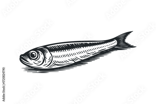 Sardine Linocut Style Fishing Food Animal. Vector hand drawn illustration
