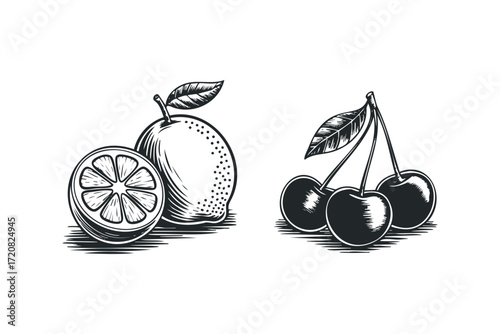 Woodcut Style Citrus Fruit and Cherries. Vector hand drawn illustration