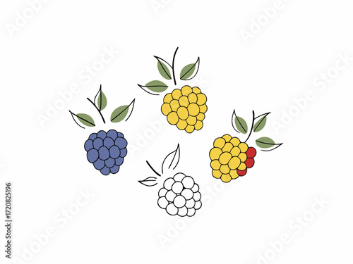 Colorful hand drawn berries with leaves, including blackberry, golden raspberry, and uncolored outline