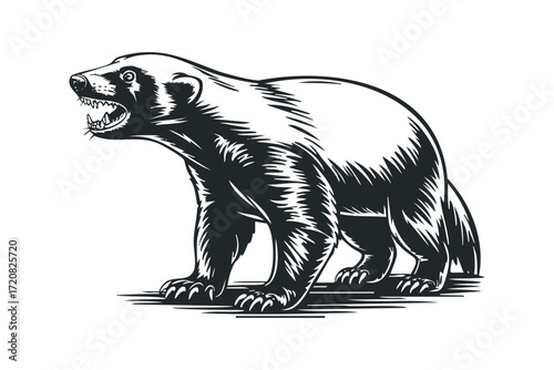 Fierce Woverine Animal Standing on Ground. Vector hand drawn illustration