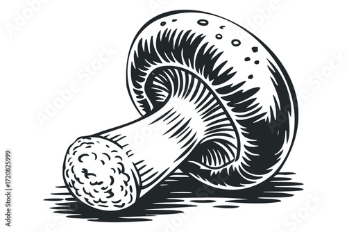 Engraved Mushroom with Cap and Stem Isolated. Vector hand drawn illustration