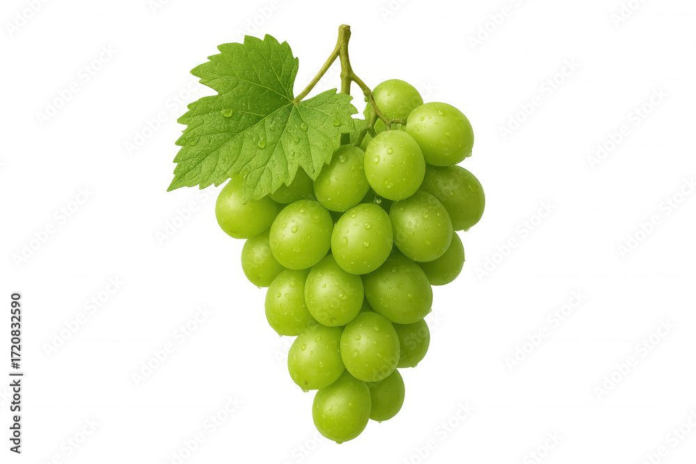 Obraz premium Green grapes bunch with leaves and water drops, fresh healthy fruit, transparent background for easy use