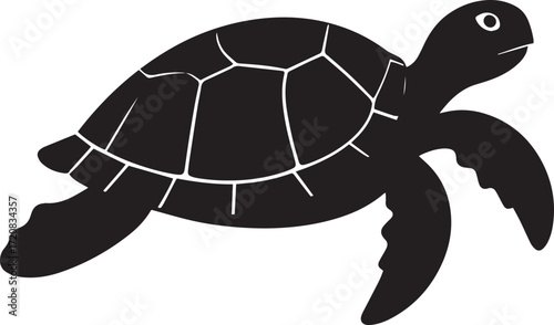  Minimal Turtle Shape Vector Illustration