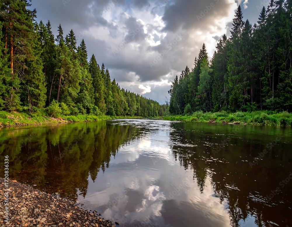 Fototapeta premium Tranquil river flowing through a dense forest