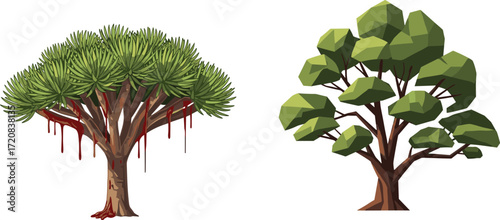 Dragon Blood Tree and polygonal deciduous tree illustration showing foliage contrast, artistic style variation, nature concept, vector art for stock content
