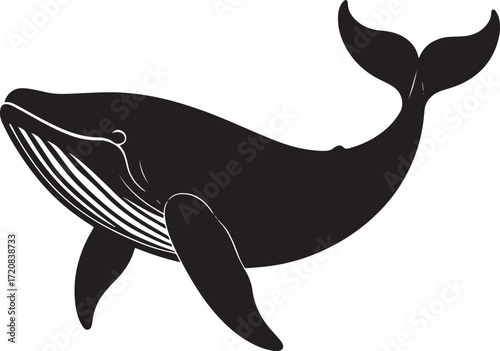  Ocean Whale Silhouette Vector Illustration