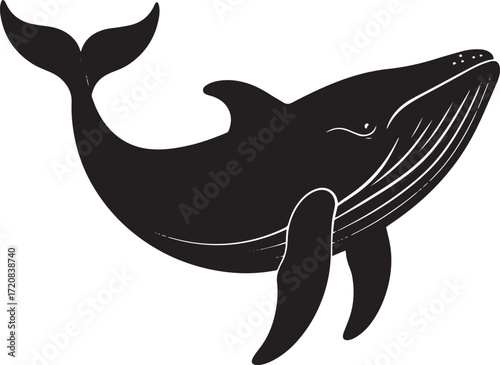  Ocean Whale Silhouette Vector Illustration