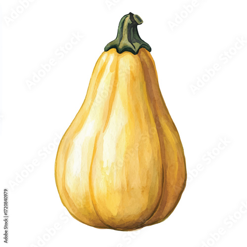 Close up of a yellow squash ripe and ready to eat with a smooth skin and a pointed top perfect for cooking or eating fresh
