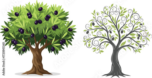 Stylized and realistic olive trees with purple fruits, botanical illustration for agriculture, nature design, garden decor, food concept, and art