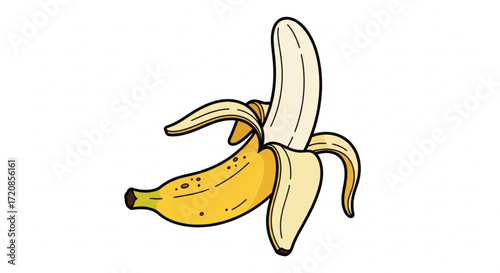 Banana fruit vector illustration, tropical fruit, healthy food, yellow banana, peeled banana, fresh fruit