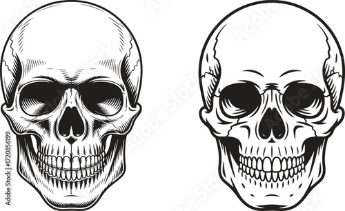 skull illustration set design. realistic human skull drawing for tattoo halloween gothic vector art
