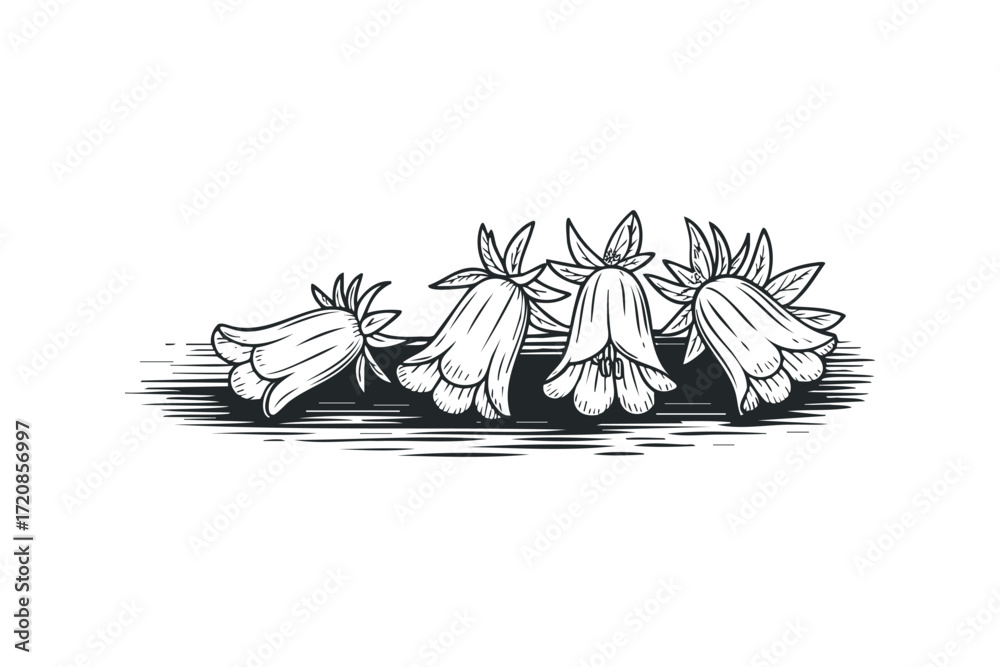 Pintura de campainha em escala de cinza com fundo transparente em. Vector hand drawn illustration