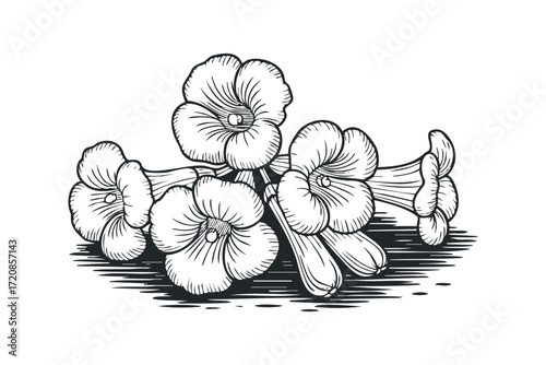 Penta Flower Blossom Bunch Sketch. Vector hand drawn illustration