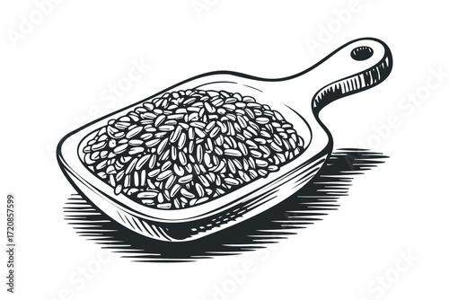 Wooden scoop filled with grains on transparent background. Vector hand drawn illustration