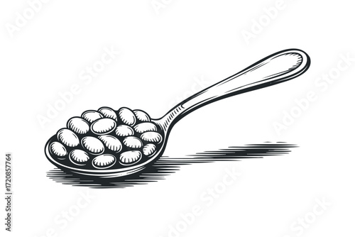 Engraved Spoon Filled With White Beans on Transparent Background. Vector hand drawn illustration