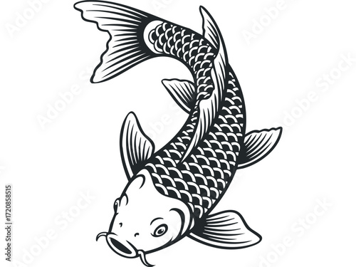 Stylized Koi Fish Graphic. Vector hand drawn illustration