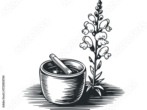 Line drawing of a flower with a bowl and stirrer. Vector hand drawn illustration