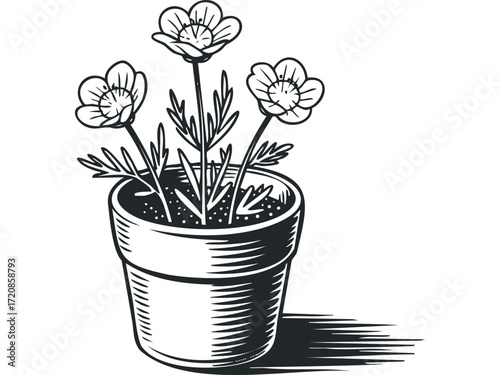 Line drawing of three potted flowers with leaves. Vector hand drawn illustration