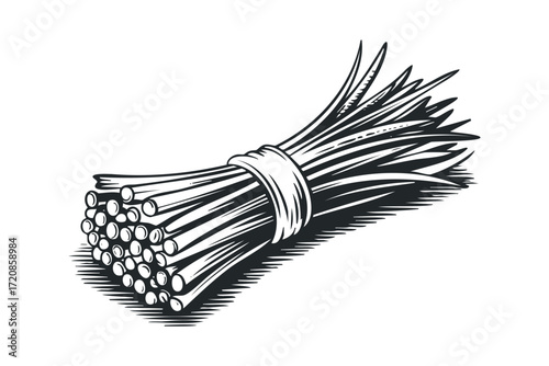 Bunch of Chives Tied Together. Vector hand drawn illustration