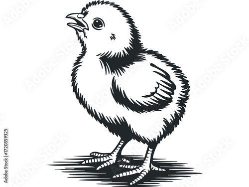 Cute baby chick with open beak on transparent background. Vector hand drawn illustration