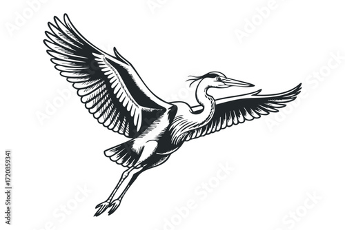 Heron bird in flight isolated on transparent background. Vector hand drawn illustration