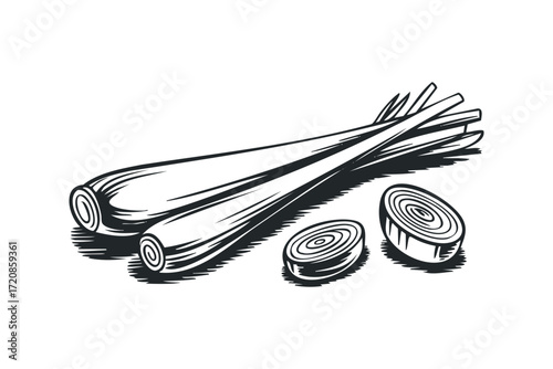 Fresh Lemongrass Stalks with Slices. Vector hand drawn illustration