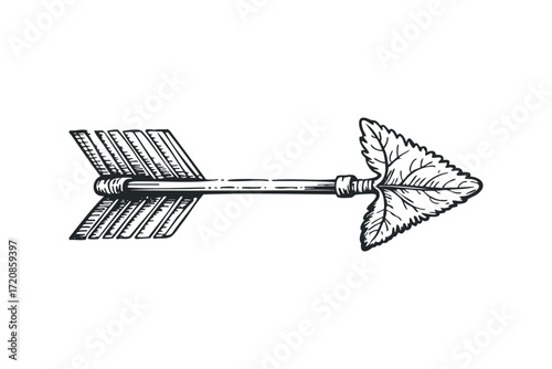 Leaf tipped arrow with feathered fletching. Vector hand drawn illustration