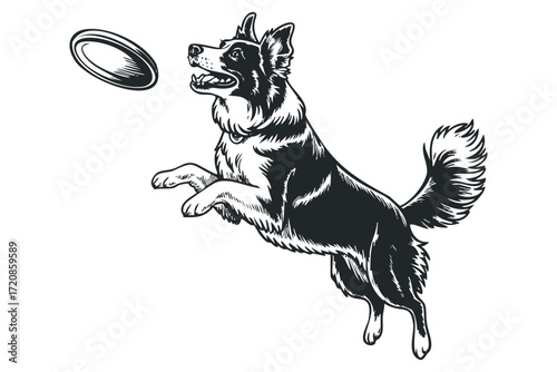 Black and white dog catching frisbee on transparent background. Vector hand drawn illustration