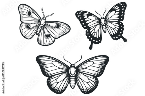 Three stylized butterflies shown in black and white. Vector hand drawn illustration