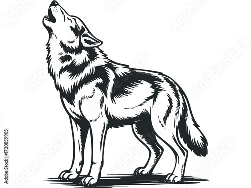 Howling wolf silhouette on a white background. Vector hand drawn illustration