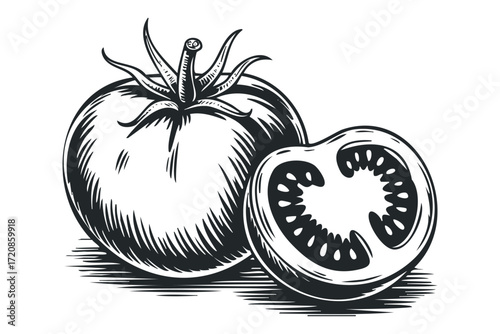 Whole and sliced ripe tomato with textured shading. Vector hand drawn illustration