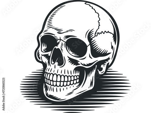 Human skull with sharp lines on transparent. Vector hand drawn illustration
