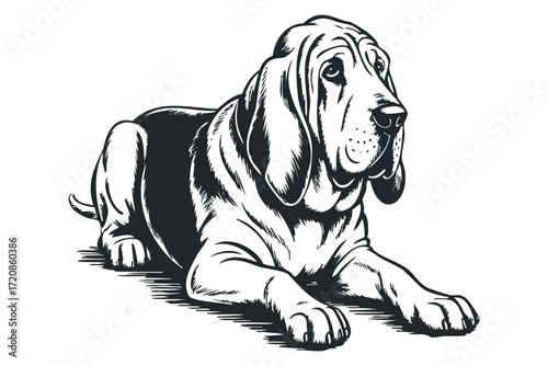 Black and White Dog Portrait. Vector hand drawn illustration