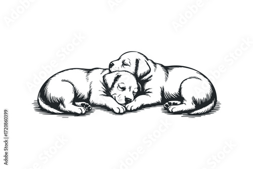 Two puppies sleeping peacefully together. Vector hand drawn illustration