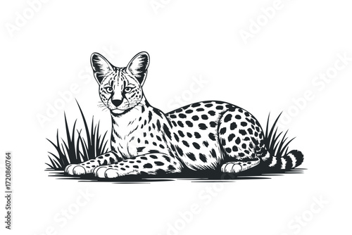 Serval cat lying in grass on transparent background. Vector hand drawn illustration