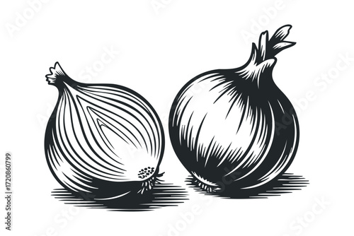 Two whole and halved onions on a transparent background. Vector hand drawn illustration