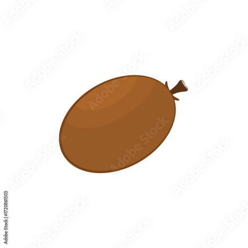 Sapodilla fruit vector illustration