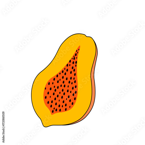 Papaya fruit vector illustration