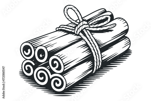 Bunch of Cinnamon Sticks Tied with Twine. Vector hand drawn illustration
