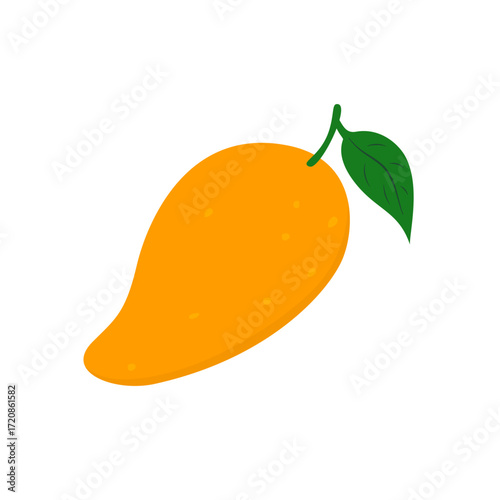 Mango fruit vector illustration