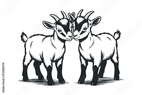 Two young goats with horns touching heads. Vector hand drawn illustration