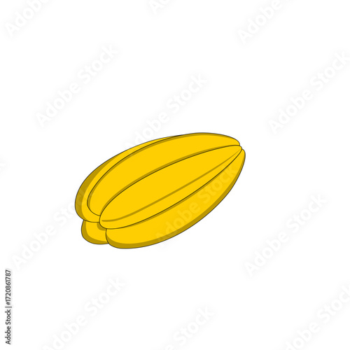 Star fruit vector illustration