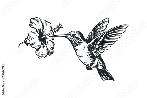 Hummingbird Nectar Flower Collection. Vector hand drawn illustration