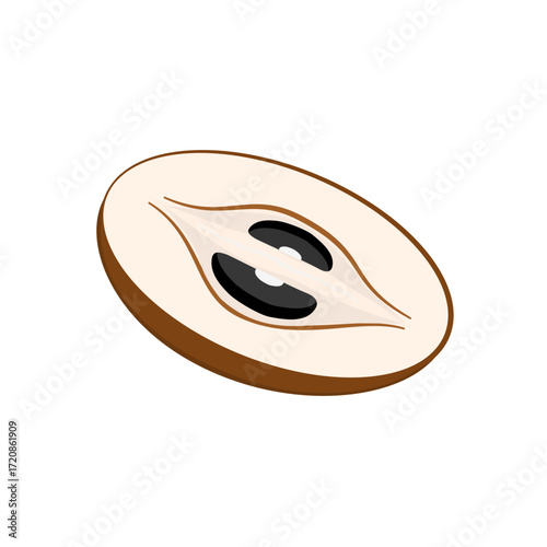 Sapodilla fruit slice illustration