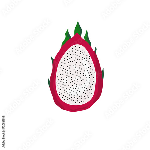 Dragon fruit slice illustration